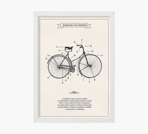 Bicycle Anatomy Art Print