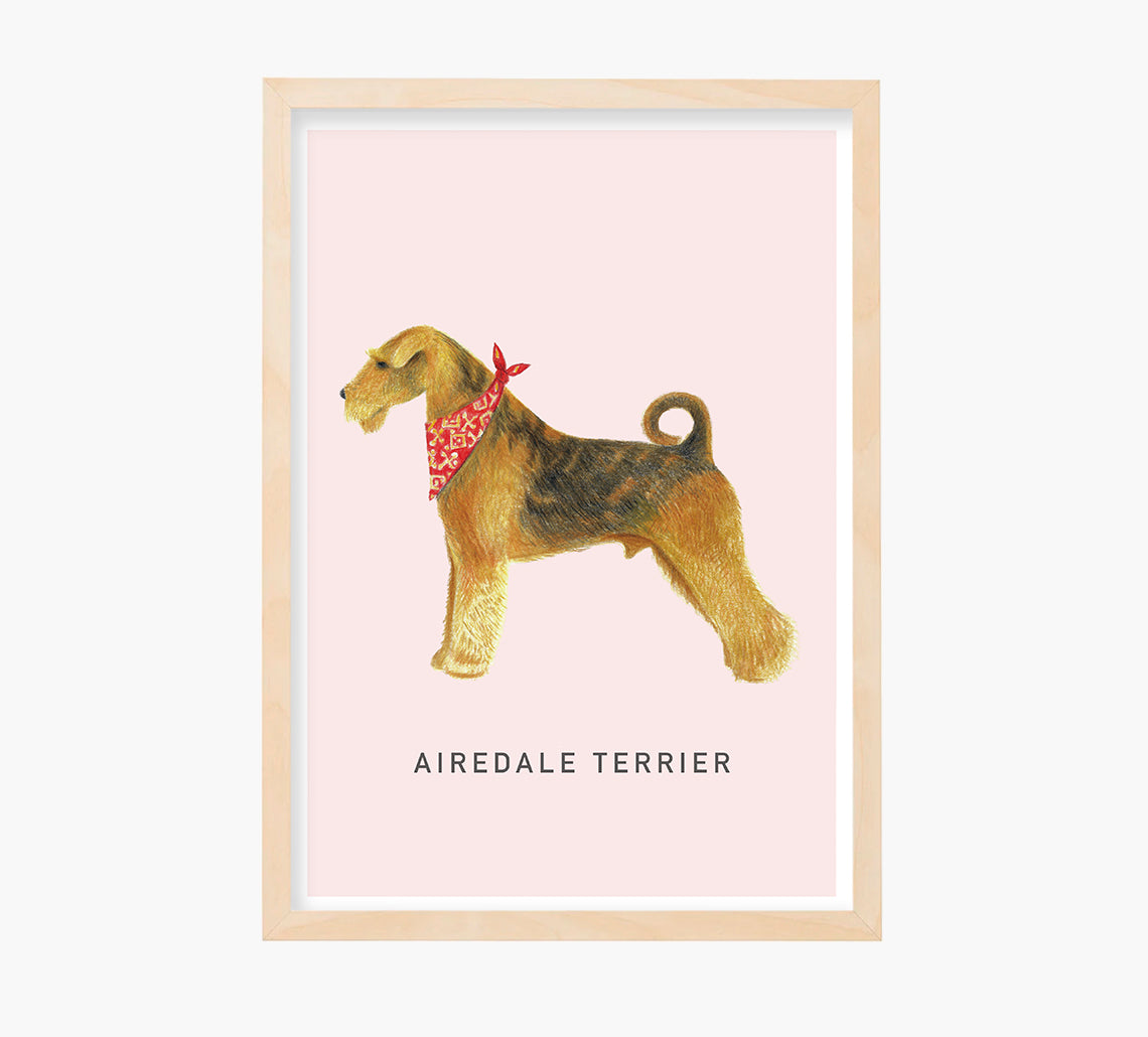 Working airedale best sale